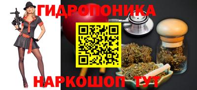 шишки Ставрополь