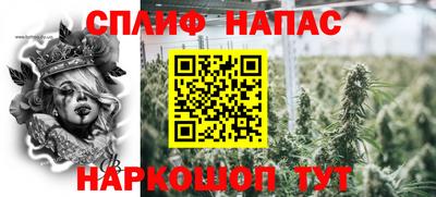 МДПВ Славгород