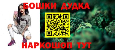 МДПВ Славгород