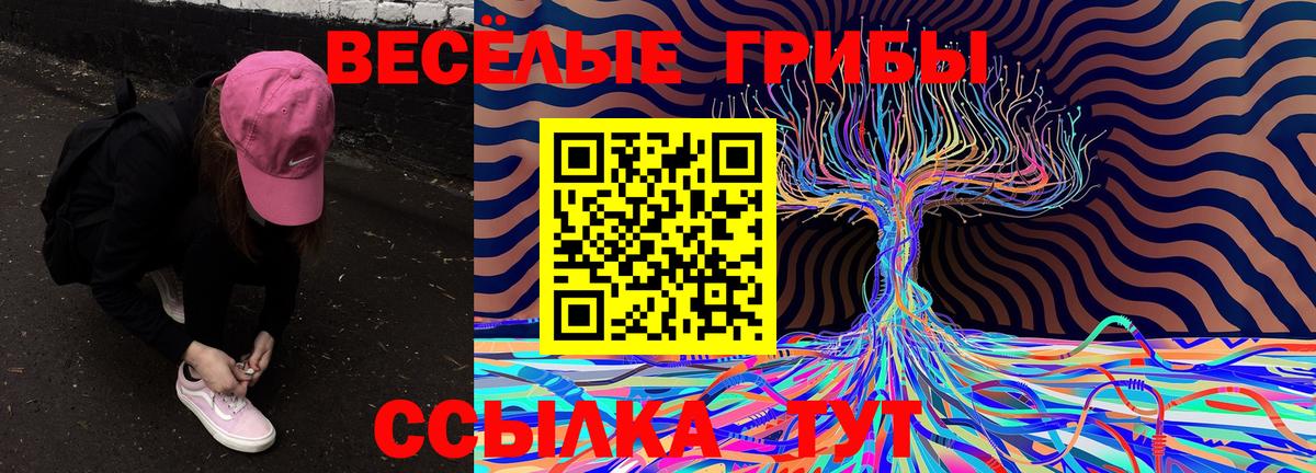 Галлюциногенные грибы GOLDEN TEACHER  Вход с VPN  Павловский Посад 