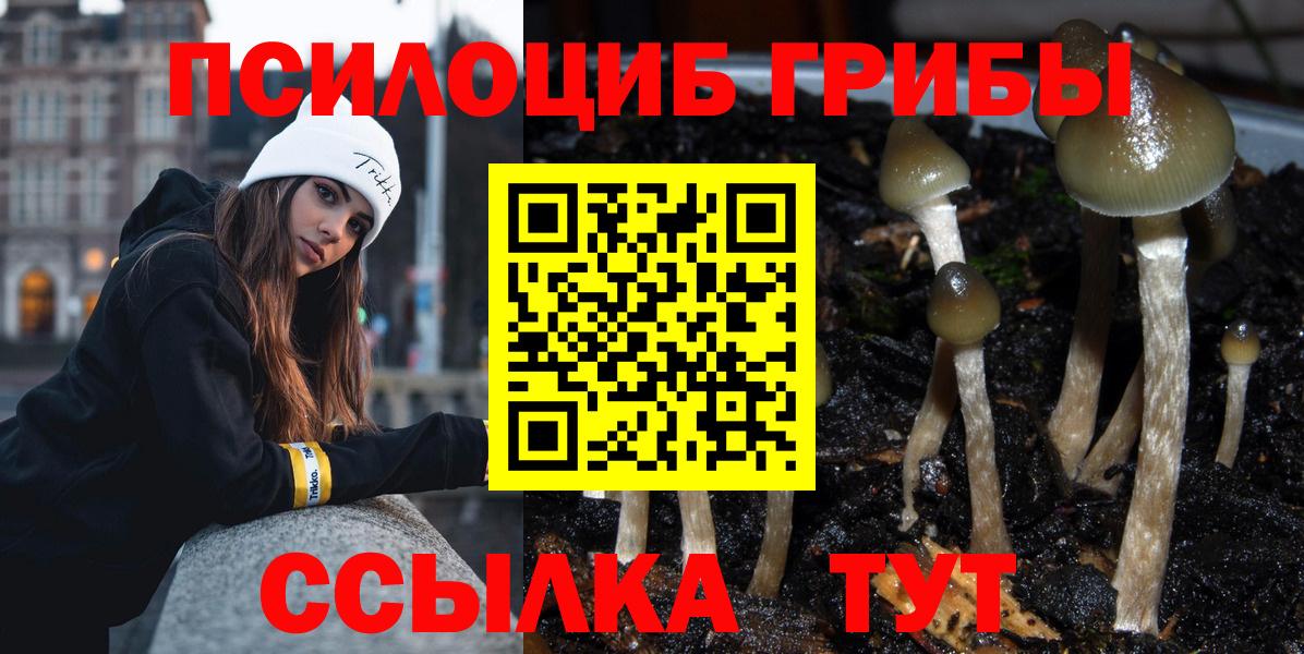 Псилоцибиновые грибы Magic Shrooms Павловский Посад
